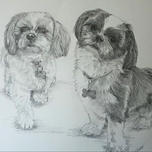 Meet your Posher, Josh